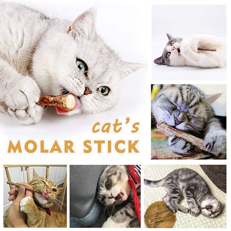 WoLover 10 PCS Cat Catnip Sticks, Natural Matatabi Silvervine Sticks - Cleaning Teeth Molar Tools Kitten Chew Toy Natural Catnip Cats Toy - Image 4